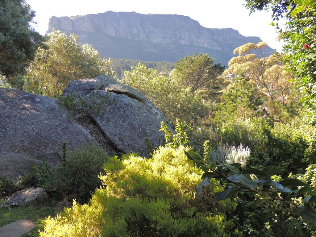 Intaba Lodge Hout Bay Εξωτερικό φωτογραφία
