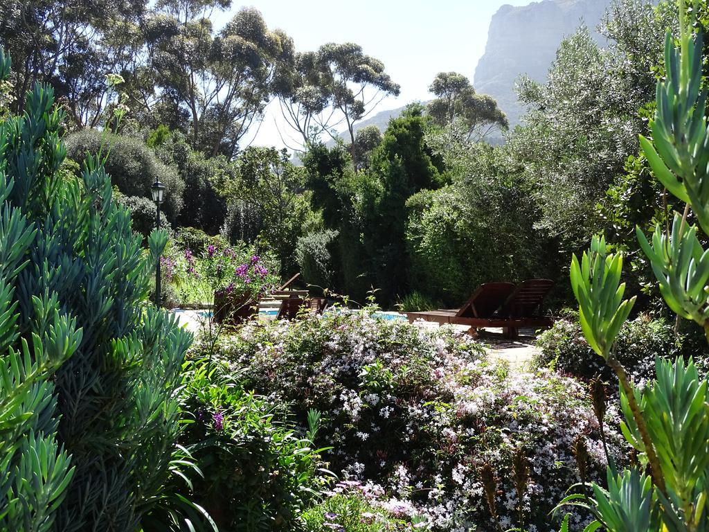 Intaba Lodge Hout Bay Εξωτερικό φωτογραφία