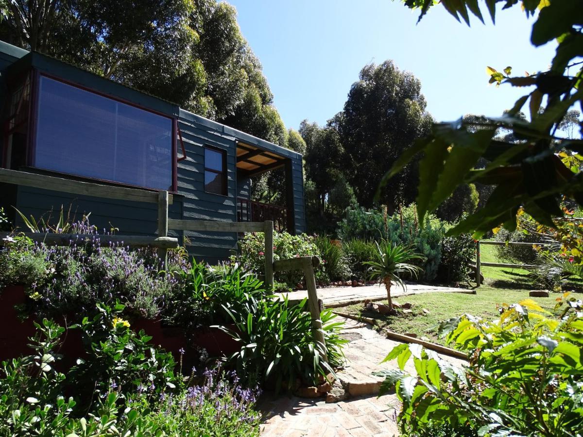 Intaba Lodge Hout Bay Δωμάτιο φωτογραφία