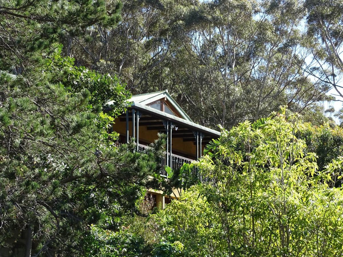 Intaba Lodge Hout Bay Εξωτερικό φωτογραφία